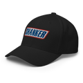 Shanker - Fun MVPFun Hat [FlexFit]Shanker - Fun MVP