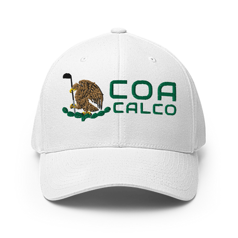 Coacalco ModernMexico Hat [white] [flex fit]Coacalco Modern