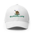 GuadalupeMexico Hat [white] [flex fit]Guadalupe