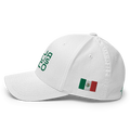 Mexico Hat [white] [flex Fit] - Jalisco Modern