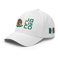 Mexico Hat [white] [flex Fit] - Jalisco Modern