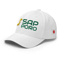 Sapporo - Country - Japan - [FlexFit]MVP Japan [FlexFit]Sapporo - Country - Japan - [FlexFit]