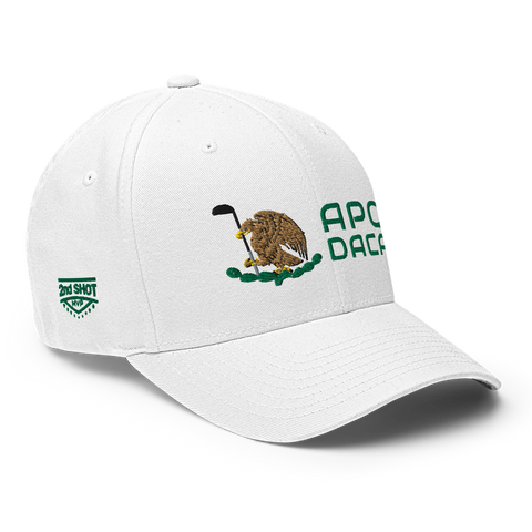 Apodaca ModernMexico Hat [white] [flex fit]Apodaca Modern