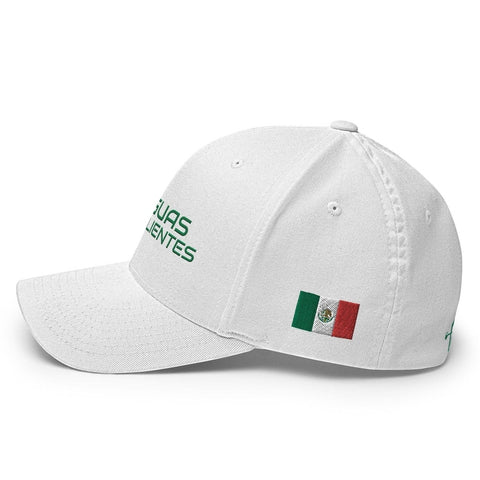 AguasCalientes ModernMexico Hat [white] [flex fit]AguasCalientes Modern
