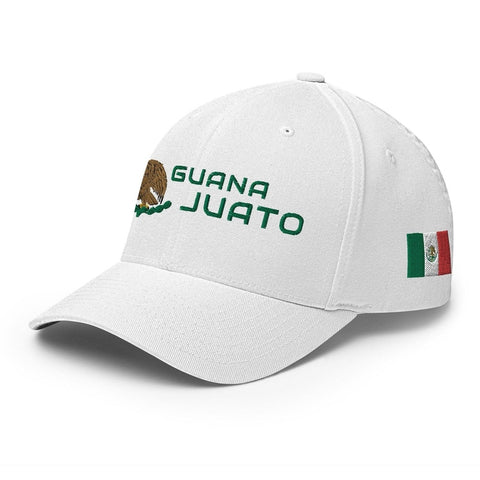 Guanajuato Modern-2ndShotMVPGolf